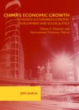 China's Economic Growth: Towards Sustainable Economic Development and Social Justice: Volume I: Domestic and International Economic Policies