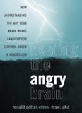 Healing the Angry Brain: How Understanding the Way Your Brain Works Can Help You Control Anger