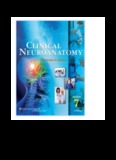 snell clinical neuroanatomy 7th edition