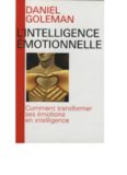 L'intelligence émotionnelle : comment transformer ses émotions en intelligence  