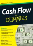 Cash Flow For Dummies