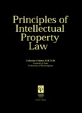 Principles of Intellectual Property Law