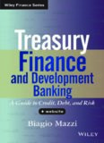 Treasury Finance and Development Banking: A Guide to Credit, Debt, and Risk