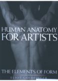 Human Anatomy for Artists  The Elements of Form