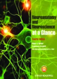 Neuroanatomy and neuroscience at a glance