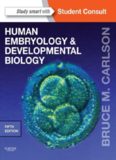 Human Embryology and Developmental Biology (5th edition)