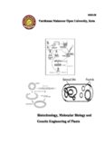 Biotechnology, Molecular Biology and Genetic Engineering of Plants