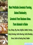 Most Profitable Livestock Farming, Animal Husbandry, Livestock Farm Business Ideas, Farm ...