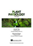 Plant Physiology