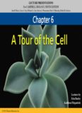 LECTURE PRESENTATIONS For CAMPBELL BIOLOGY, NINTH EDITION Lectures by Erin Barley ...