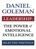 Leadership: The Power of Emotional Intellegence