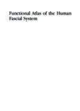 Functional Atlas of the Human Fascial System, 1e