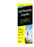Digital Photography Composition For Dummies