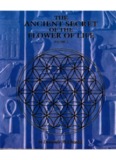 The Ancient Secret of the Flower of Life