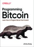 Programming Bitcoin: Learn How to Program Bitcoin from Scratch