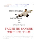 taichi shi san she 太极十三式 十三势
