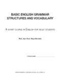 BASIC ENGLISH GRAMMAR STRUCTURES AND VOCABULARY