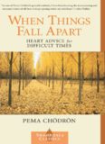 When Things Fall Apart: Heart Advice for Difficult Time