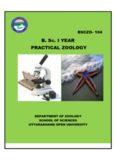 PRACTICAL Z B. Sc. I YEAR PRACTICAL ZOOLOGY ZOOLOGY