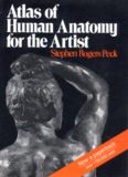 Atlas of Human Anatomy for the Artist (Galaxy Books)  