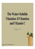 The Water-Soluble Vitamins: B Vitamins and Vitamin C - Gerling