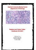 Department of Pathology - Pathology - Stanford University School 