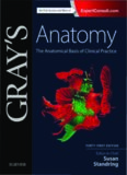 Gray's Anatomy: The Anatomical Basis of Clinical Practice, 41e