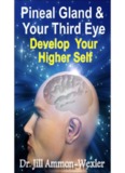 Pineal Gland and Third Eye.pdf