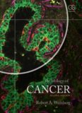The biology of cancer