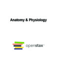 Anatomy & Physiology