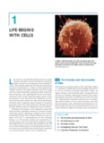 Molecular Cell Biology (Lodish)