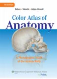 Color Atlas of Anatomy: A Photographic Study of the Human Body, 7th Edition  