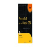 PeopleSoft Oracle DBA