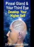Pineal Gland & Third Eye