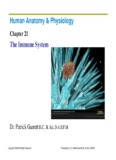 Human Anatomy & Physiology